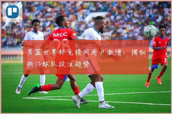 男篮世界杯竞猜网用户激增，揭秘热门球队投注趋势