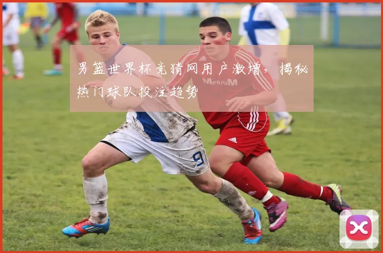 男篮世界杯竞猜网用户激增，揭秘热门球队投注趋势